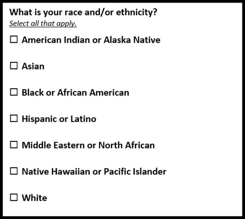 Figure 2. Race and Ethnicity Question with Minimum Categories Only